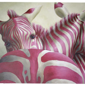 Pink Zebra